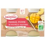 BABYBIO PETIT POT DE POMME ET MANGUE 2x130 G BIO