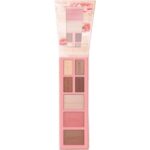 ESSENCE PALETTE BLUSH ET HIGHLIGHTER PEACHY BLOSSOM