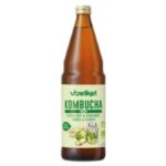 VOELKEL KOMBUCHA CITRON VERT ET GINGEMBRE 750ML